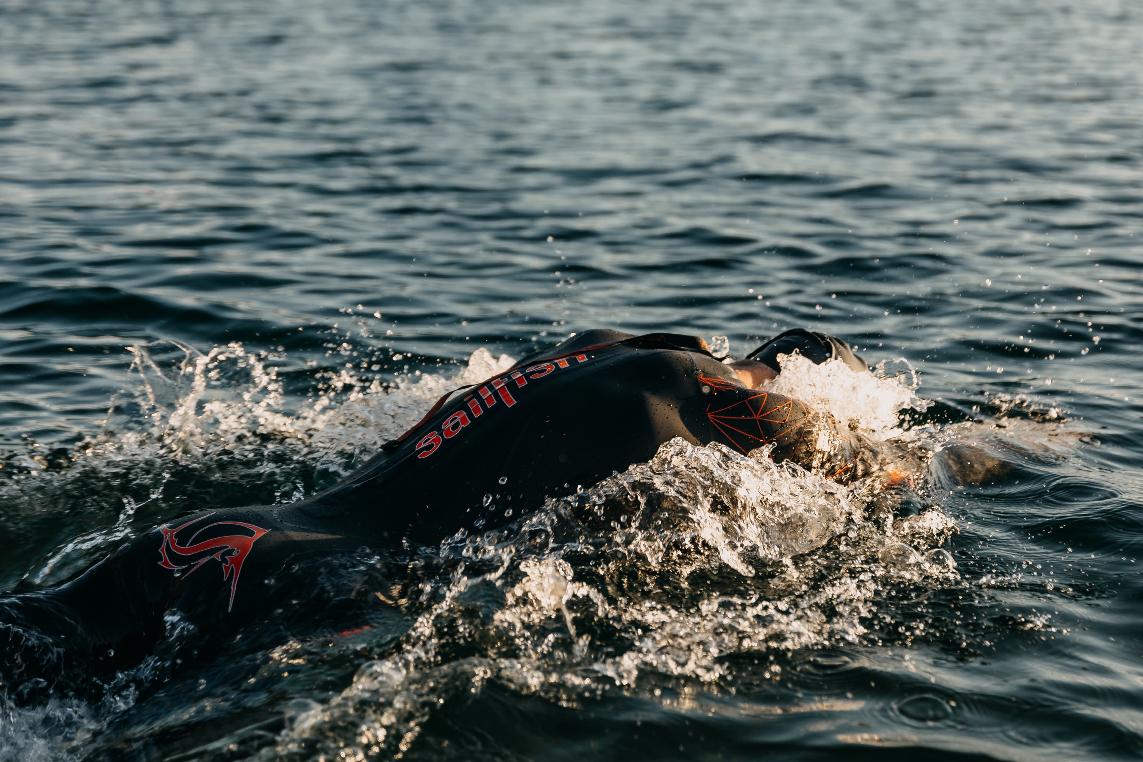 Open water swimming in the golden light